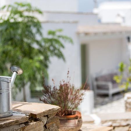 Nastasia Village Naxos City Exteriör bild