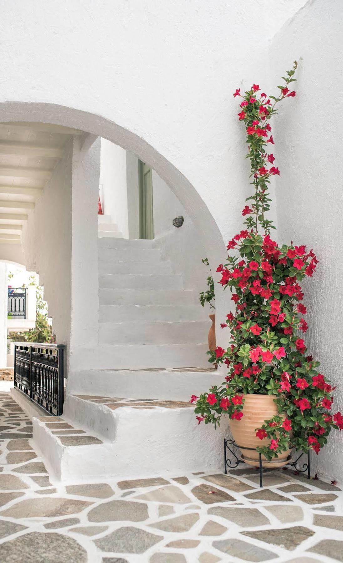 Nastasia Village Naxos City Exteriör bild